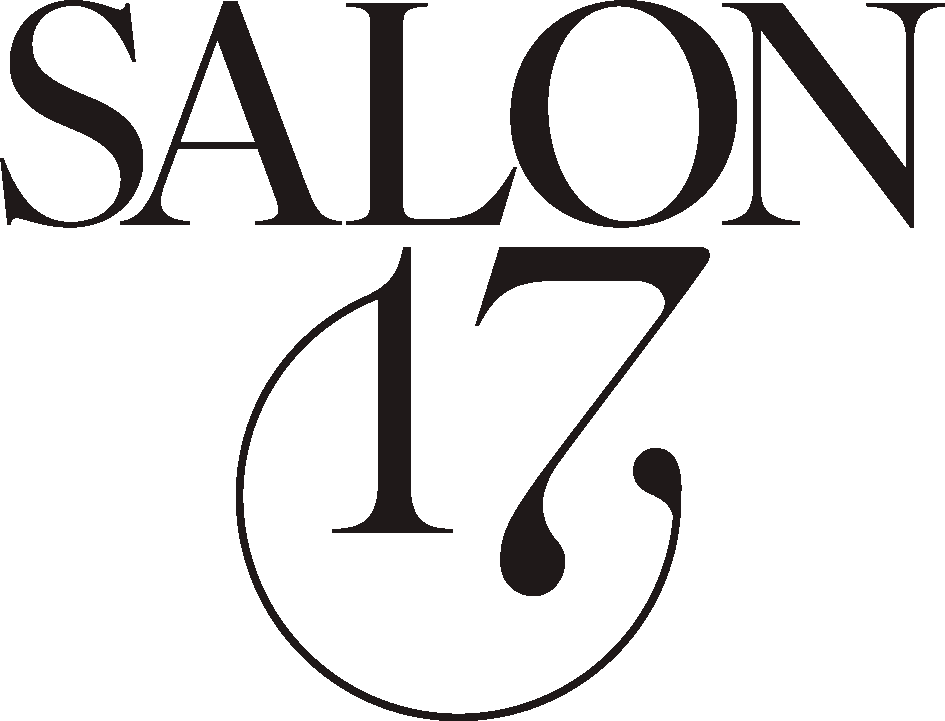 Salon 17 logo in stylish black font design on white background