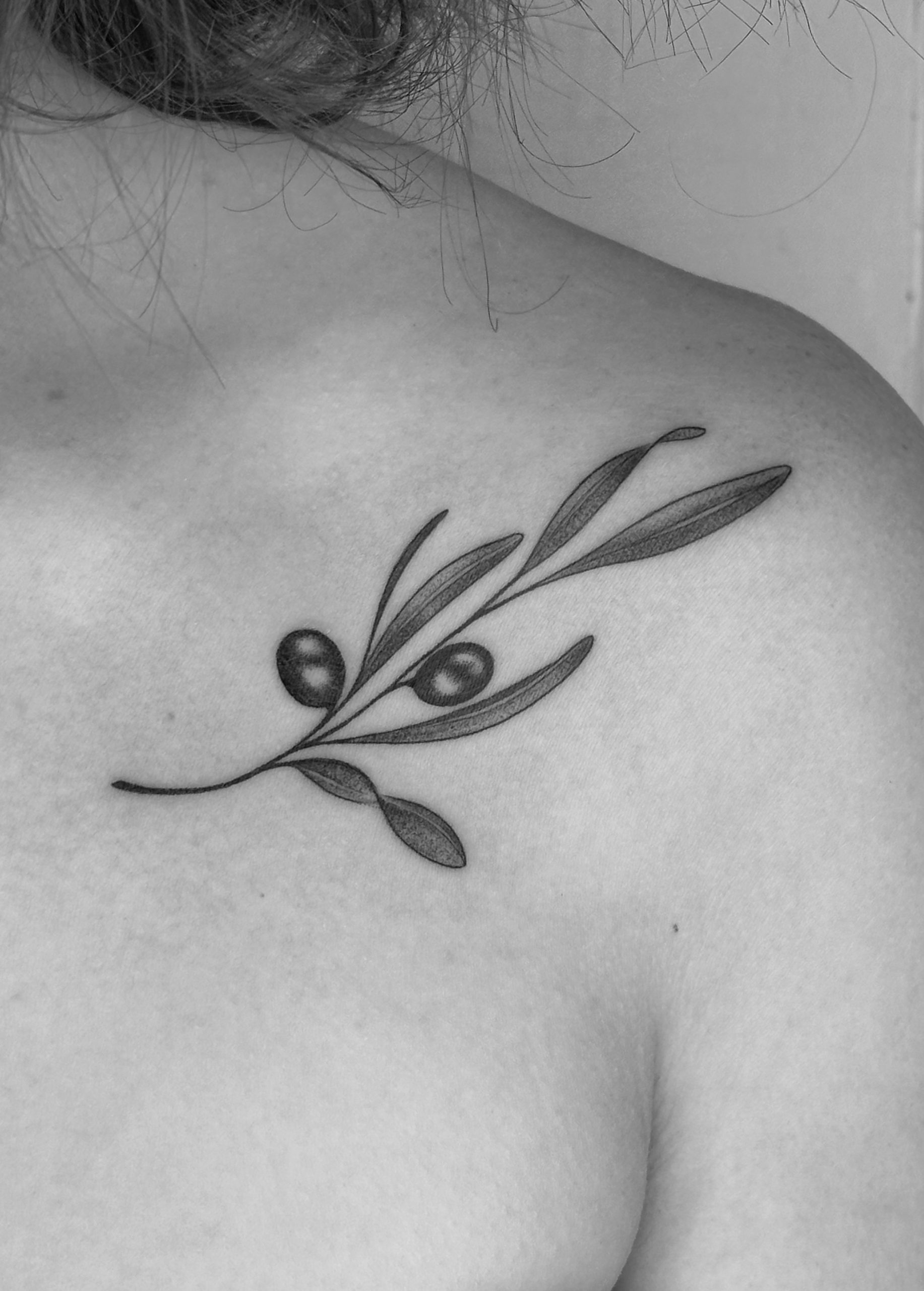Olive branch tattoo design on shoulder black and white Olive branch tattoo design on shoulder black and white