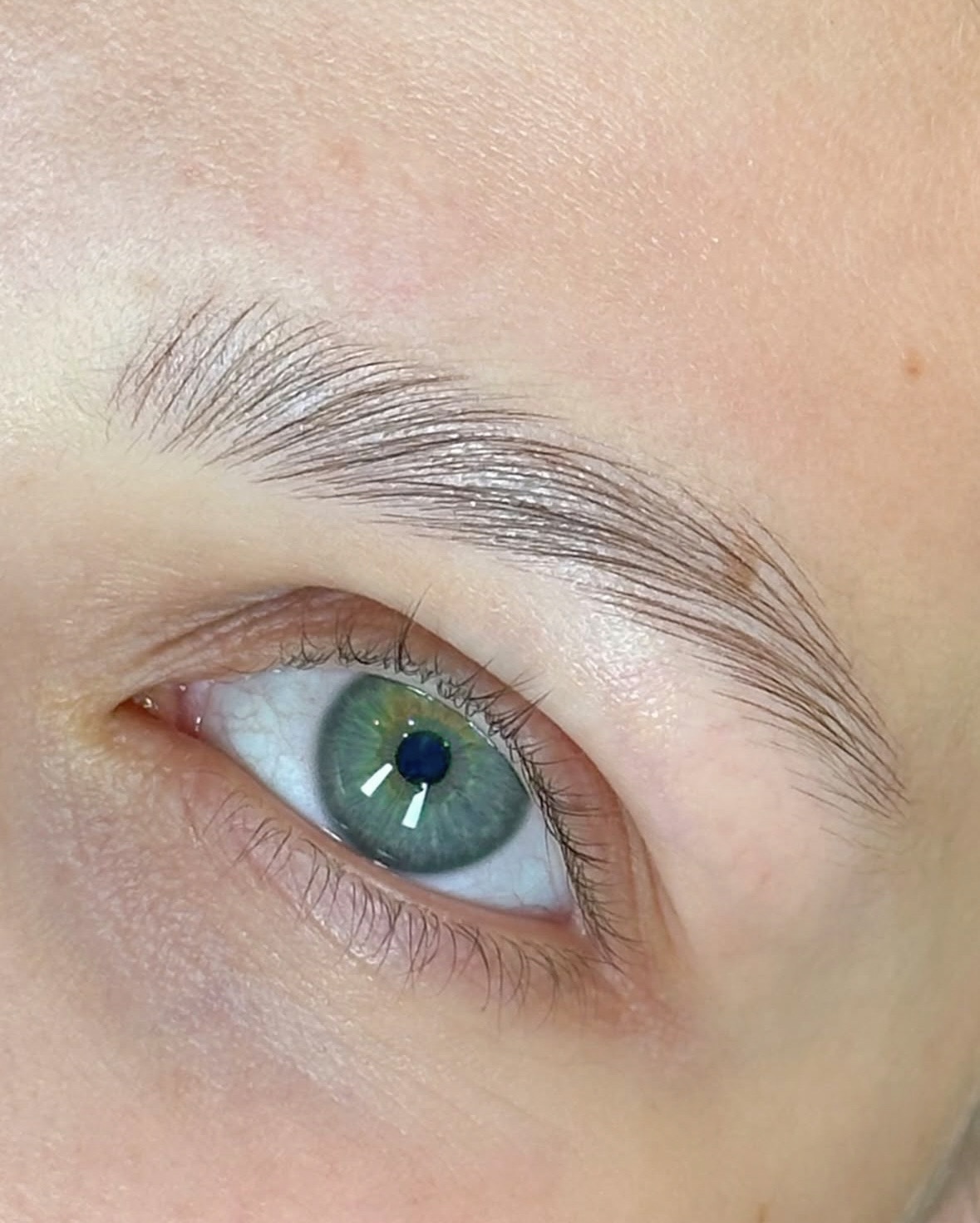 Close-up of a green eye with well-groomed eyebrows
