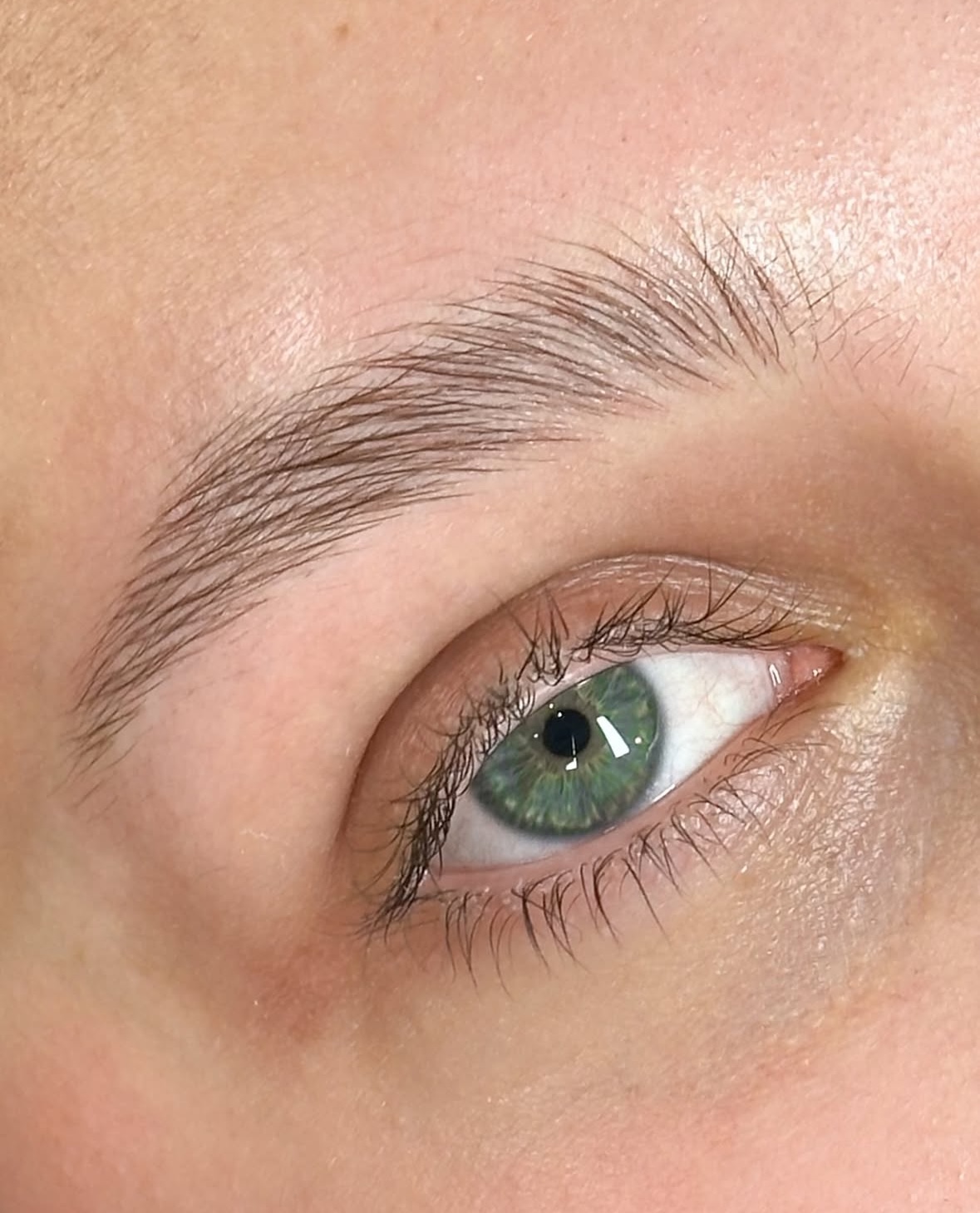 Close-up of a green eye with neatly groomed eyebrow